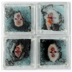 Float Glass Coasters with Metal Inclusions