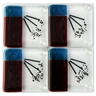 Clear, Red, Turquoise & Black Art Glass Coasters